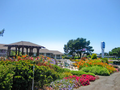 Surf Motel And Gardens Fort Bragg Dış mekan fotoğraf